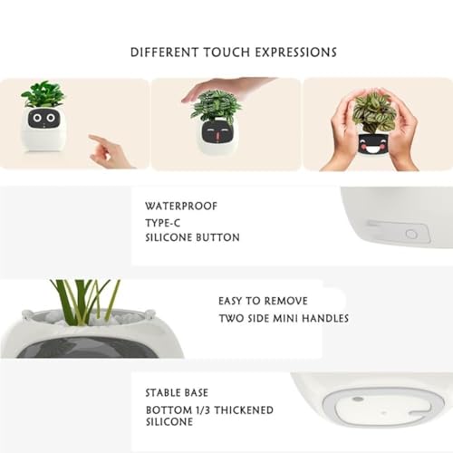 Pot de fleurs intelligent auto-arrosant avec contrôle application - 7
