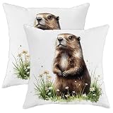 Juego de 2 fundas de almohada de marmota para decoración de temporada al aire libre, 20 x 20 pulgadas