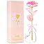 C Light Pink