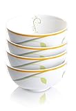 Precise Portions PPB-4 Stylish Portion Control Bowls with Discreet 1/2 Cup Guiding Lines, Porcelain - Set of 4