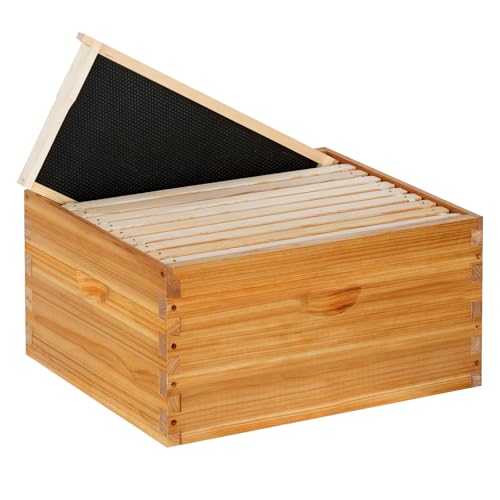 10 Frame Deep Brood Bee Hive Box Langstroth Honey Bee Hive Bee Box Dipped in 100% Beeswax Includes Beehive Frames and Waxed Foundation Sheets (Unassembled)