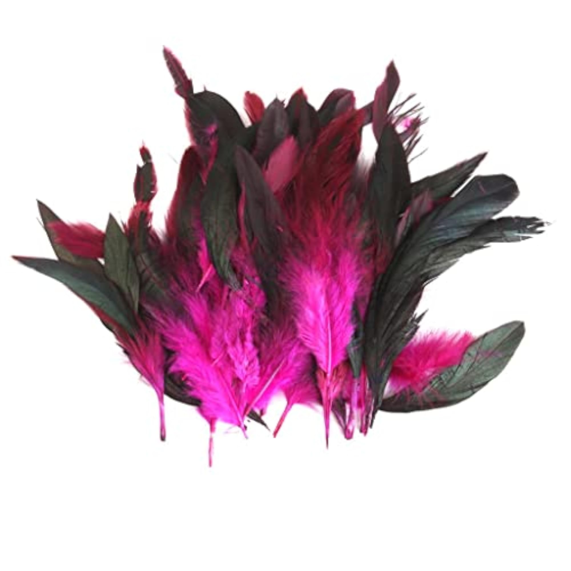 Wholesale 50 Beautiful Rooster Feathers, Rose Red