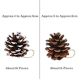 Zoom IMG-1 howaf 25 pezzi di pigne Zoom IMG-1 howaf 25 pezzi di pigne