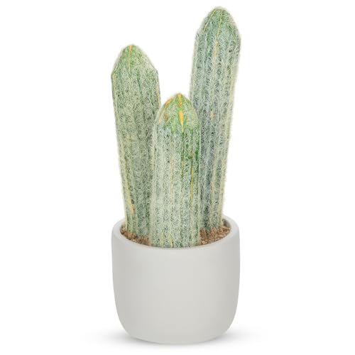DILATATA 9.8' Small Old Man Cactus Faux Cacti Plant ARTIFICIAL Cactus for Home Garden Office Decor Housewarming Gifts
