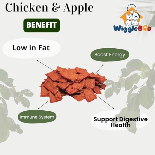 Image of Chicken & Apple Treat for Dog | Travel Friendly Pack | Protein Rich | Great Antioxidants | Crunchy Healthy Snacks | 45g
