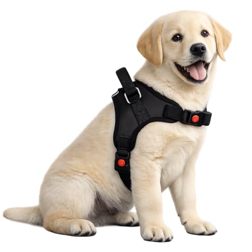 Image of No Pull Dog Body Belt | Adjustable & Soft Padded Dog Harness | Perfect for Large Breeds | for 24-35Kg Dogs (L, Black)