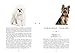 Naturelove. 50 besondere Hunde: Vom Beagle bis zum Zwergspitz. Ein Buch wird zum Kunstwerk