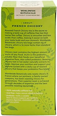 Worldwide Botanicals Organic French Chicory Root Tea – 50% more herbs with 3g per tea bag – Prebiotic Roasted Herbal Tea – Acid Free, Caffeine Free, Kosher, 25 tea bags
