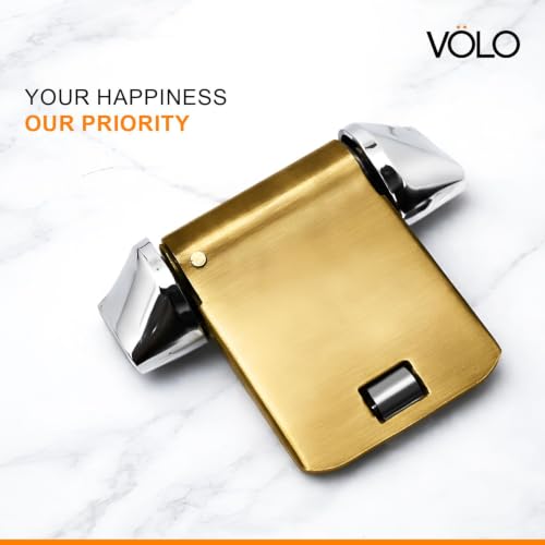 Image of VOLO Door Closer | Heavy Duty Automatic Door Closer | Adjustable Door Speed for Home Office Hotel & Commercial Doors | 1 Year Warranty | (Helix Antique | 40 Kg Capacity | Spring)
