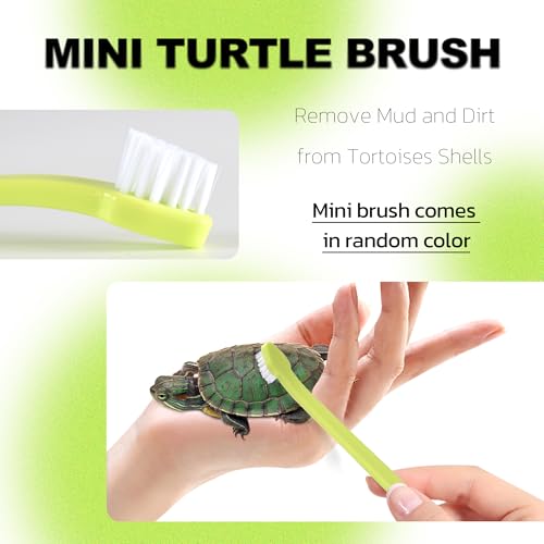 Image of Turtle Brush, Turtle Tank Accessories, Turtle Shell Cleaning Brush Set, Aquatic Tortoise Tank Supplies