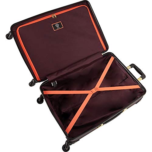 Buy Vince Camuto Hardside Carryon Spinner Luggage Fig at Amazon.in