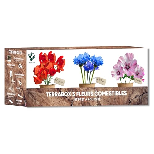 NOPALIA® Kit Fleurs Comestibles – Graines Bio Coquelicot, Mauve, Bleuet – Mini Jardin Intérieur & Extérieur –Jardinage Original – DIY Déco Écologique – Cadeau noel cuisine