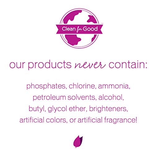 image for Biokleen Hand Dish Liquid Lemon Thyme 25 oz. - 6 Pack, 25 Ounce (Pack 