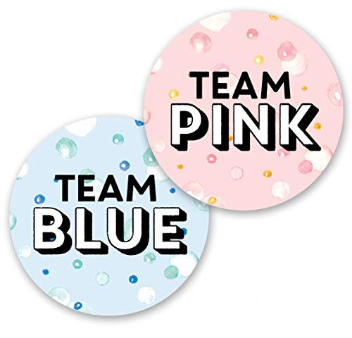 Gender Reveal Party Stickers: Set of 24 Team Pink and Team Blue Baby Shower or Gender Reveal Party Stickers - Guests Vote for Team Boy or Team Girl - Made in The USA by Palmer Street Press