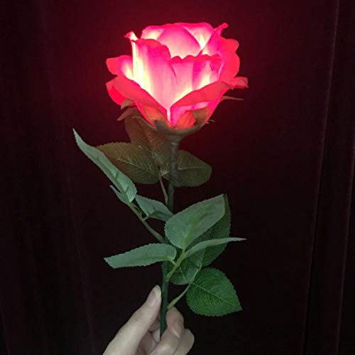 SUMAG Trucos de magia luz rosa control remoto profesional magos etapa bar boda ilusiones trucos truco apoyos mentalismo divertido