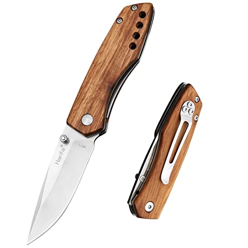 Top 10 Best Wood Knife Handle Top Picks 2023 Reviews