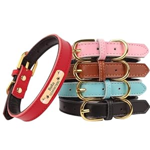 Personalized Leather Dog Collars for Small Medium Large Dogscustom Dog Collar with Nameplate Option to Bluepinkredpurplegreenblackbrown  Cucciolini Doodles Personalized leather dog collars for small medium large dogscustom dog collar with nameplate option to bluepinkredpurplegreenblackbrown   cucciolini doodles