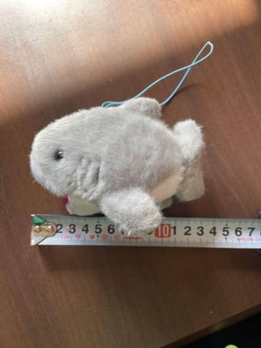 京都水族館のお土産で人気のおすすめは？