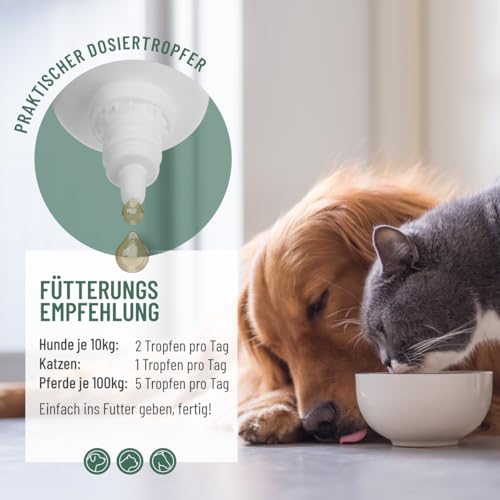 ReaVET Algenöl für Hunde, Katzen, Pferde 50 ml I Hochdosiert & Vegan Omega-3 Öl I Futteröl aus Algen unterstützt Gelenke, Stoffwechsel, Fell & Haut