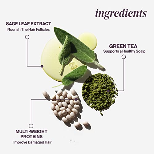 Pureology Hydrate Moisturizing Conditioner | For Medium To Thick Dry, Color Treated Hair | Sulfate-Free | Vegan #TOP4