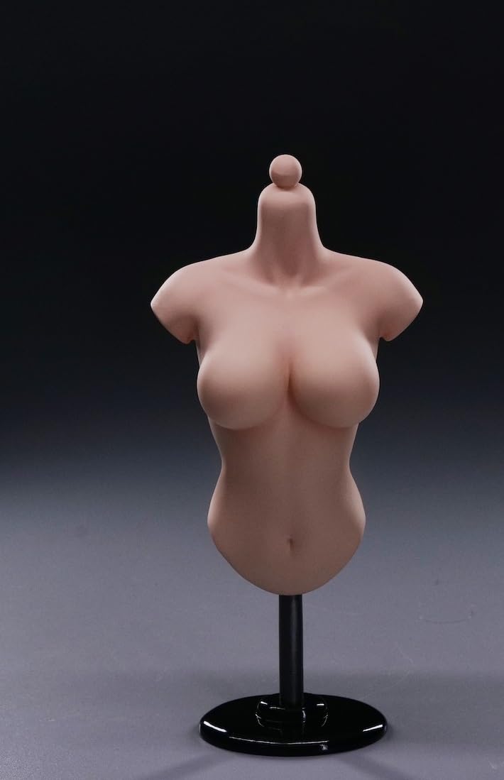 | [TOYBARJAPAN] 1&frasl;6スケール アクションフィギュア用