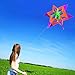 Hengda Kite-New Version 42 Inch So Beautiful 3D Lotus Flower Kite for Kids and Adults Easy to Carry with Flying Line
