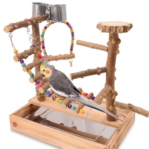 BRSLAIF Bird Playground, Bird Perch Play Stand, Conure Parakeets Parrots Cockatiel Toys, for Bird Cage Accessories, Natural Wood