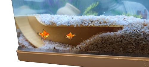 3Dkore Höhle Versteck für Aquarium – transparente Zuflucht 10 x 10 x 5 cm aus biobasiertem PLA – einfache Beobachtung durch das Glas – 3D-Druck – für kleine Fische (10 x 10 x 5 cm)