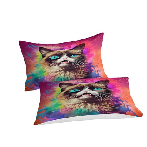 Housse de couette chat 220x240 parure de lit microfibre 3 pièces lit double King