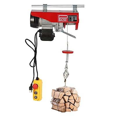 Electric Hoist, 551lbs Electric Winch, Steel Electric Hoist Lift with Remote Control & Single/Double Slings for Lifting in Garage Warehouse Factory 110V 510W