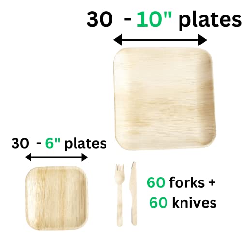 Shy Leaf Disposable Bamboo Plates (60 Plates) + 120 Piece Wooden Cutlery Set - 6 Inch & 10 Inch Palm Leaf Plates - Party Plates - 100% Biodegradable & Eco Friendly Compostable Plate Set #TOP1