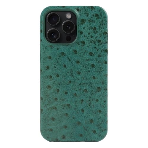 Étui en cuir iPhone 17 16 15 Pro Max motif autruche coque arrière vert
