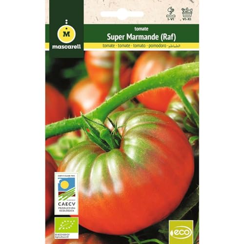 Mascarell Semillas, TOMATE MARMANDE (Tipo RAF), Semillas Ecológicas, 0,5 Gramos
