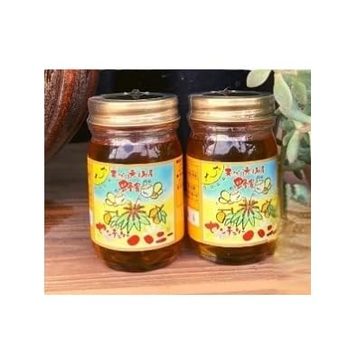 天然徳之島産はちみつ「センチュリーハニー」90g×2個