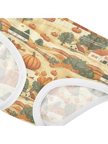ZZKKO Pumpkin Harvest on The Farm Girls Underwear Toddler Panties for Girls Comfort Brief Size 2T4