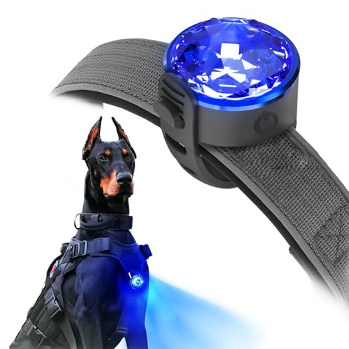 UMIONE PET LIGHT: Wasserdichtes Hundelicht, langlebig und ideal für Nachtspaziergänge (Blau, 1 Stück)