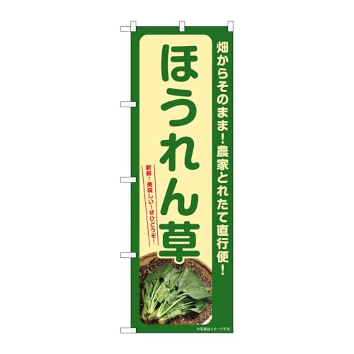 y3Zbgẑڂ艮H[ ̂ڂ 131656 ق W600×H1800mm OO ̑ ɐ 󒍐Yi