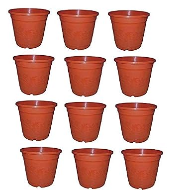 SPHINX Small Nursery Pots Planters - (Height/Depth - 15 cms/ 6 Inches) (12)