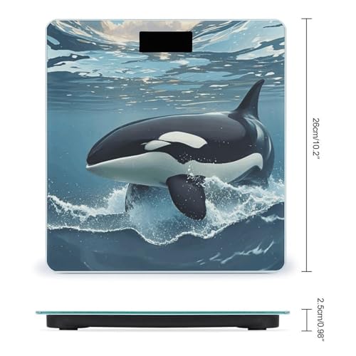 Báscula Digital Orca con Pantalla LCD Grande y Baterías miniatura 2