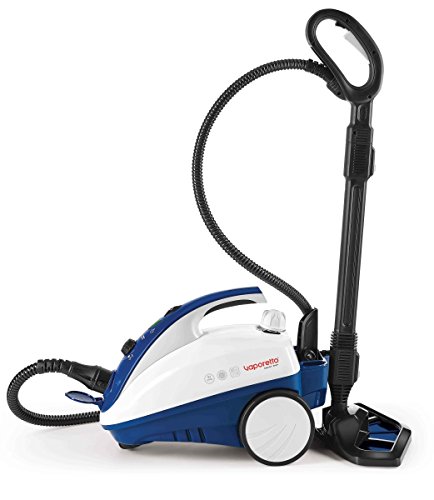 Best Polti Steam Cleaner