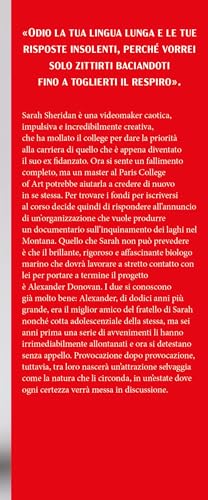 Wild Hearts - 4