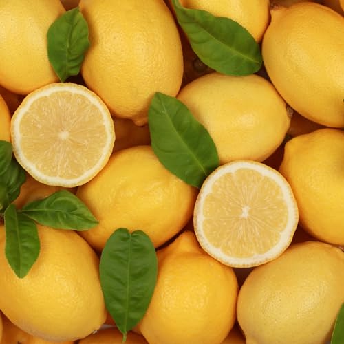 Lorenti Tokyo & Seoul Granulated Natural Vitamin C Lemon Scrub For Face And Body thumb #4