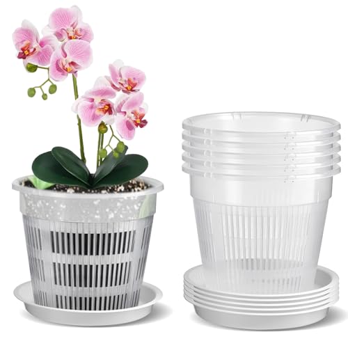 Zyiphor Lot de 5 Pot Transparent Orchidée, 14 cm Pot pour Orchidées Respirant, Transparent Plante avec Trous de Drainage et Soucoupes pour Culture d'Orchidées en Intérieur et Extérieur
