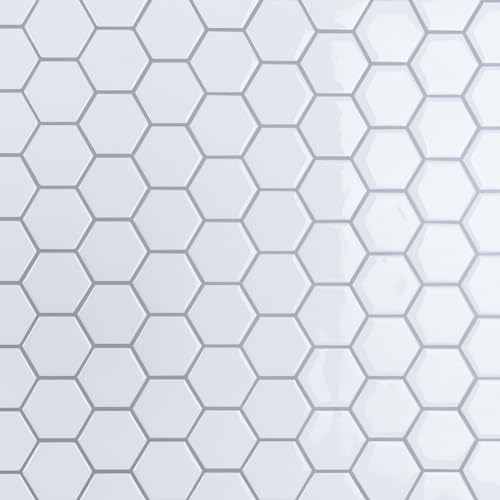 VaryPaper 10 zCg Zp ē\obNXvbV Lb`p obNXvbV^C h ȔS ǃ^C XebJ[ S^C   V[ 12C` x 12C`