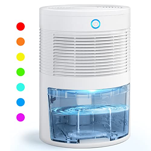 Best Dehumidifiers Canada Best Cost