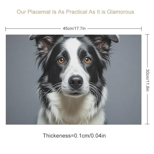 Sets de table Border Collie étanches pour vos repas en terrasse - 3