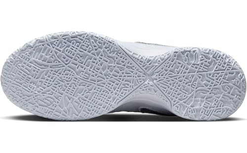 Lebron NXXT Gen AMPD Basketball Shoes (FJ1566-102, White/Metallic Silver/Light Smoke Grey) Size 143