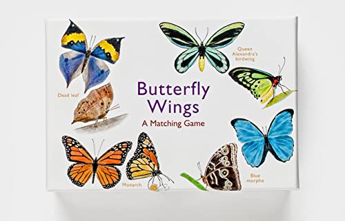 Butterfly Wings: A Matching Game - Image 2