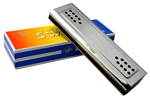 New, 48 Holes Harmonica, Tremolo, Two Keys C & G #TOP24