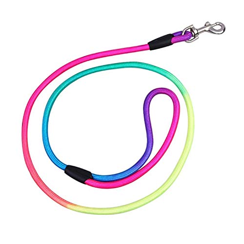 Laisse de dressage pour animal domestique - Couleur arc-en-ciel - Ceinture en nylon tissé - Corde de traction ronde pour chien Cover